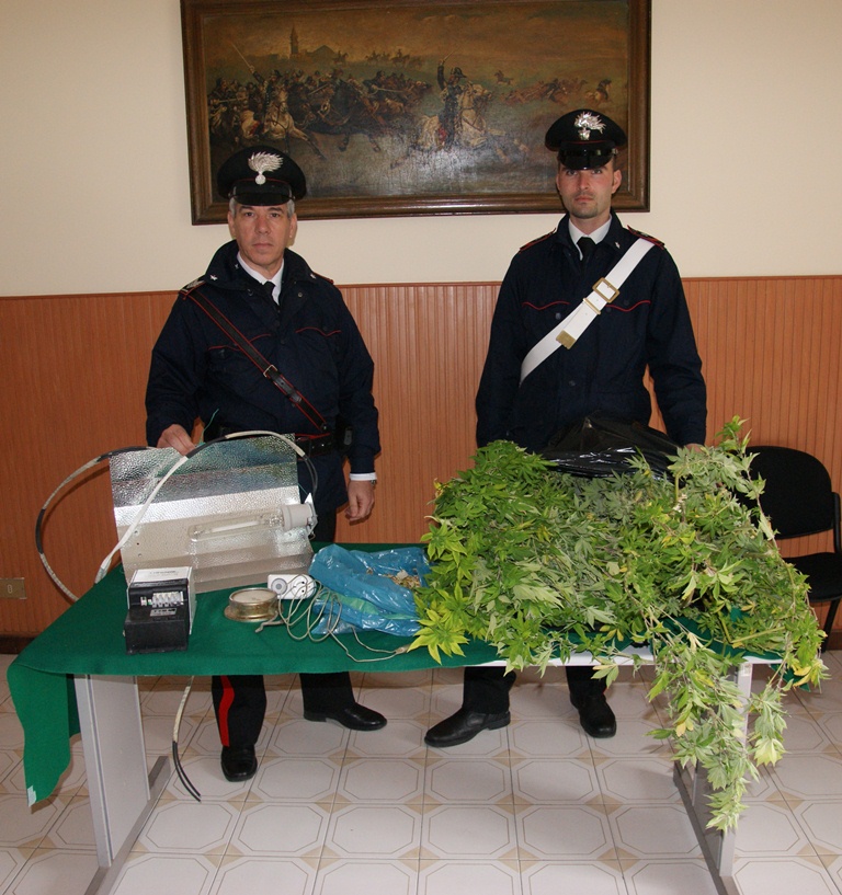 Marijuana a Carini un arresto per coltivazione casalinga